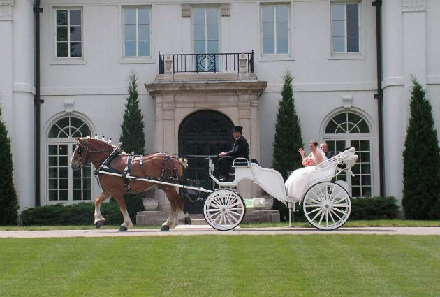 horse and carriage by austenacious.com