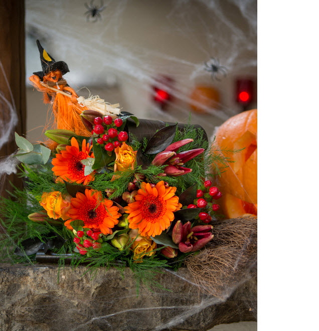 halloween flowers cobwebs spiders