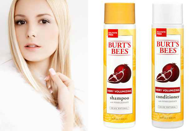 Burts Bees Hair Products