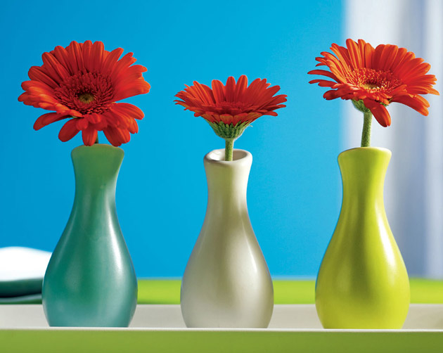 Bright Vases Favour Idea