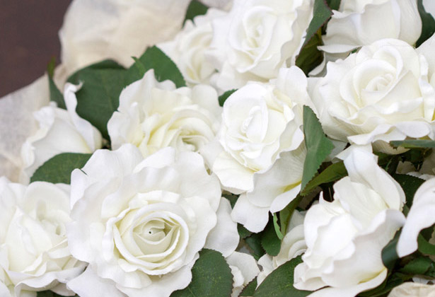 White roses 