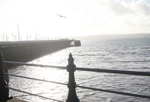 Pier Point, Torquay