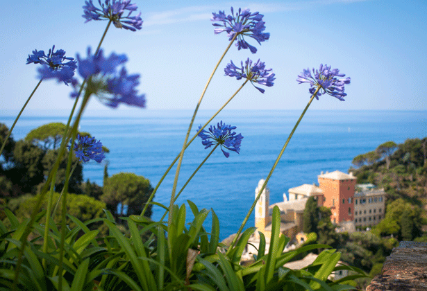 Castello Brown in Portofino