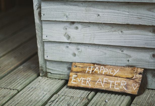 Happily ever after log 