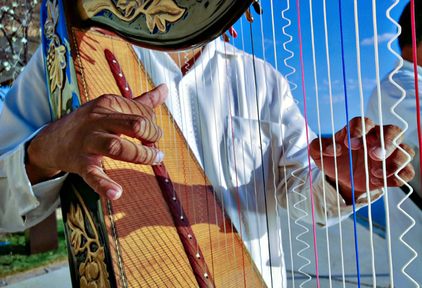 Harpist playing during the ceremony 