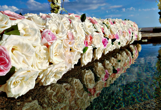 Roses along the water aisle 