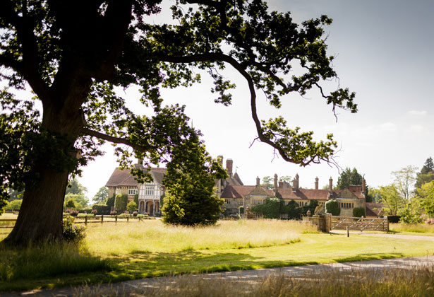 Wedding reception on the Cowdray Estate