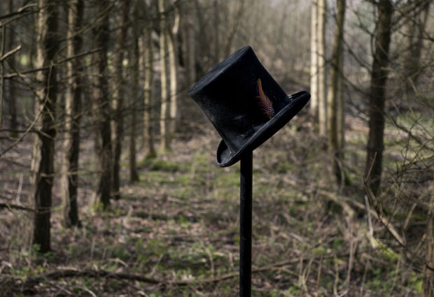 Top hat in the woods by Halo and Hobby