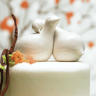 Contemporary love birds cake topper at Confetti