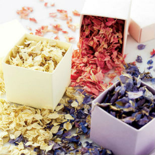 Spring freeze dried delphinium petals