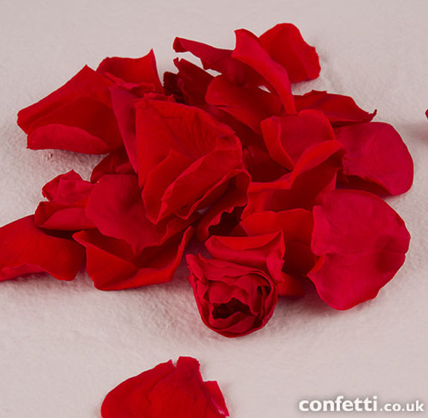 Rose petal confetti   