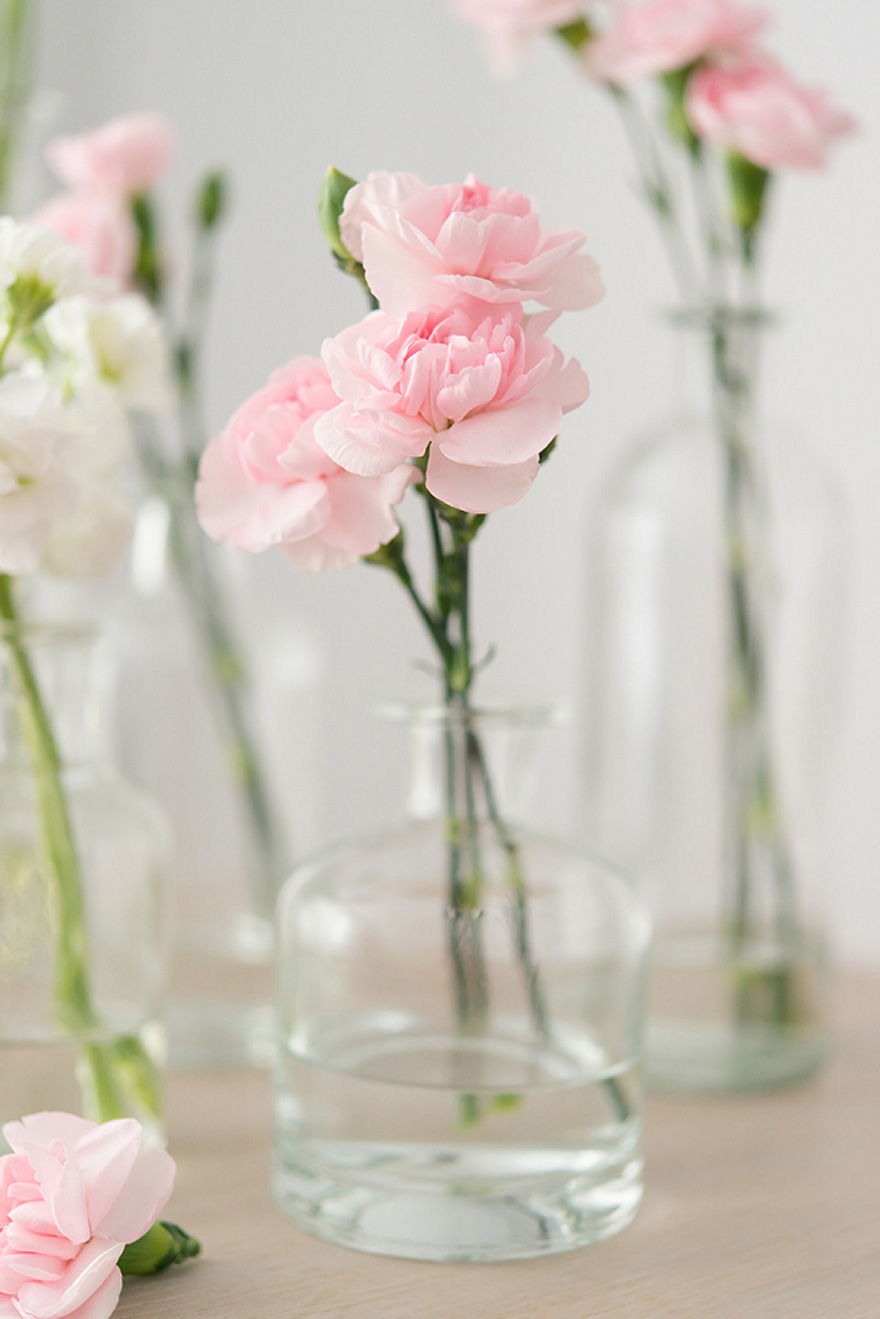 Pink Wedding Carnations | Confetti.co.uk