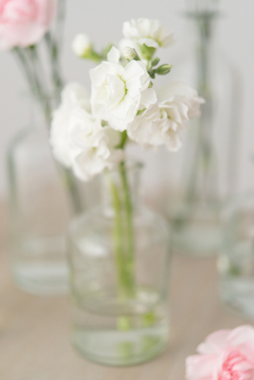 White Wedding Carnations | Confetti.co.uk