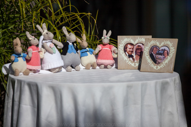 Family of rabbits and old wedding portraits      