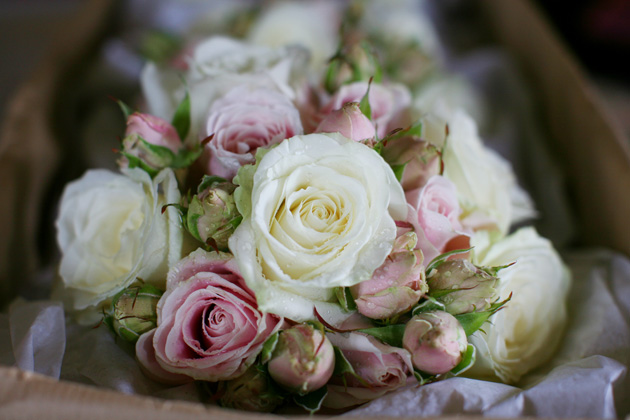 Ivory and pink rose bridal bouquet | Confetti.co.uk