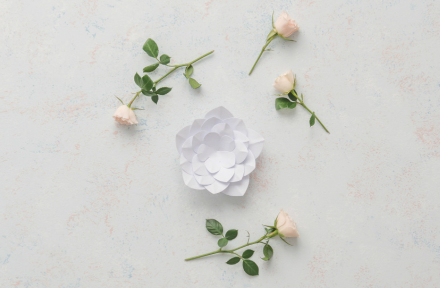 Paper Flower Decor - Apple Blossom | Confetti.co.uk