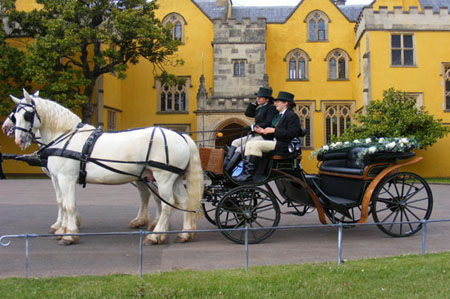 Transport ideas for a woodland themed wedding from www.confetti.co.uk