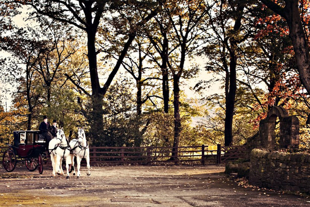 Styling Autumn Wedding | Real Wedding Autumn Wedding Transport | Vantage Horse and carriage|Confetti.co.uk 