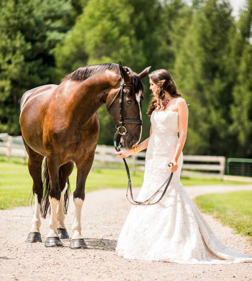 vegan-wedding-guide-bride-and-horse