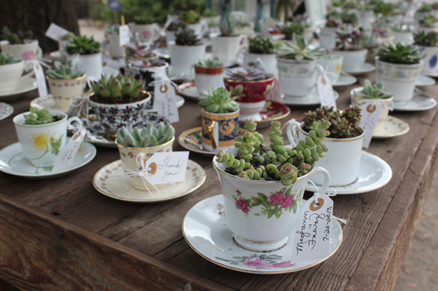 Wedding succulents in teacups with saucers | Confetti.co.uk