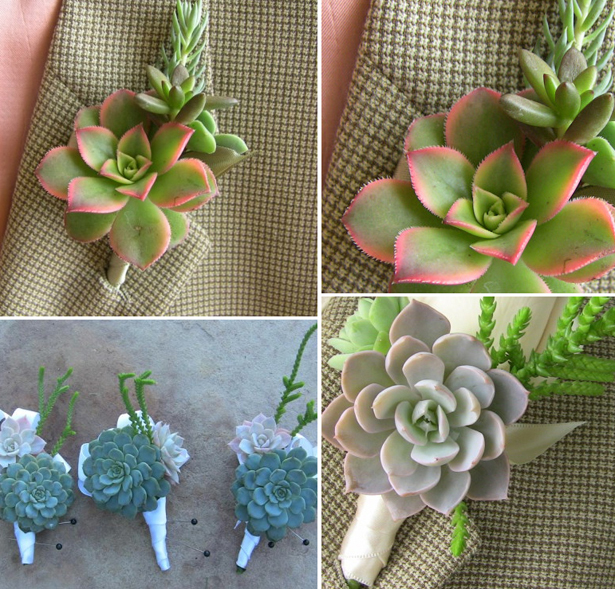 Wedding succulent blue and pink and green boutonnieres and buttonholes | Confetti.co.uk