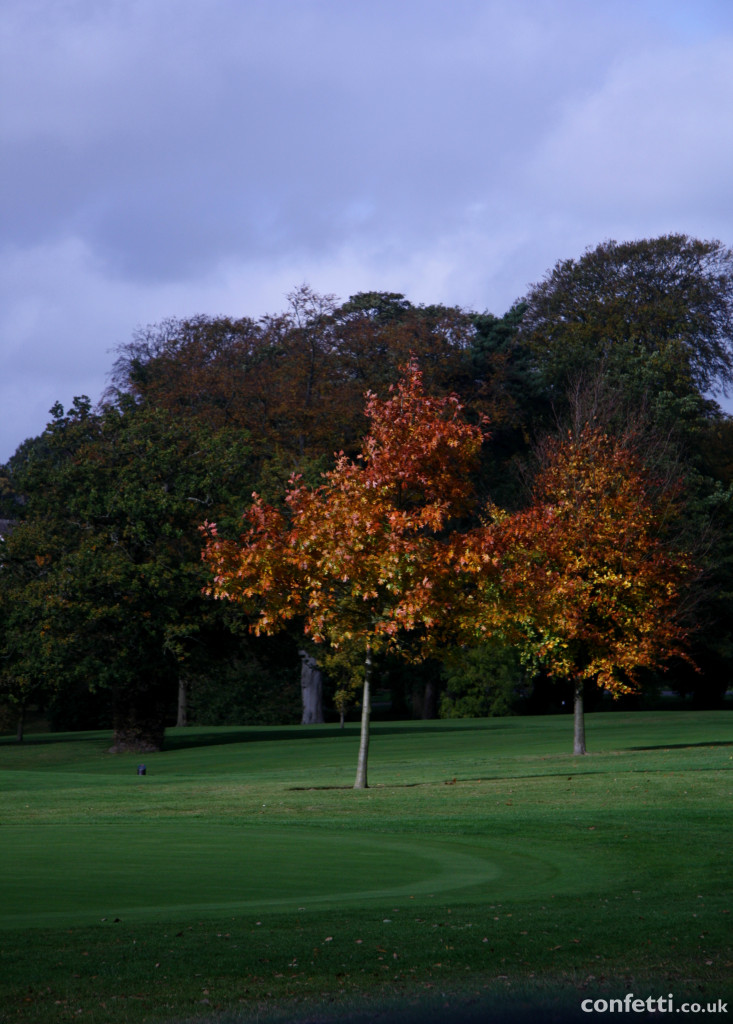 Autumn at Breadsall Priory is a stunning display of colours. | Confetti.co.uk