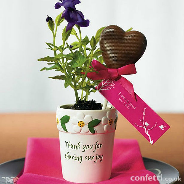 Chocolate heart lolly in a flower pot favour | Confetti.co.uk