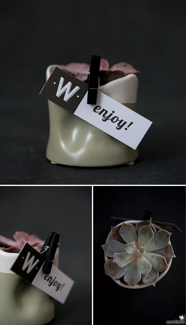 Succulent Wedding Favours | Confetti.co.uk