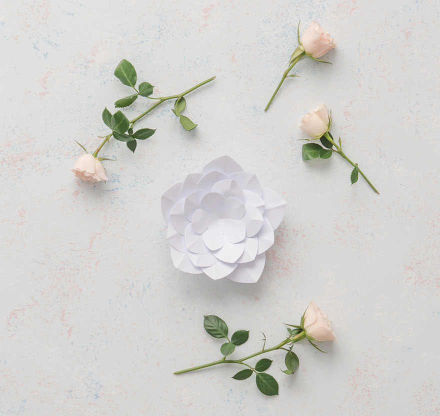 Paper Apple Blossom | Confetti.co.uk