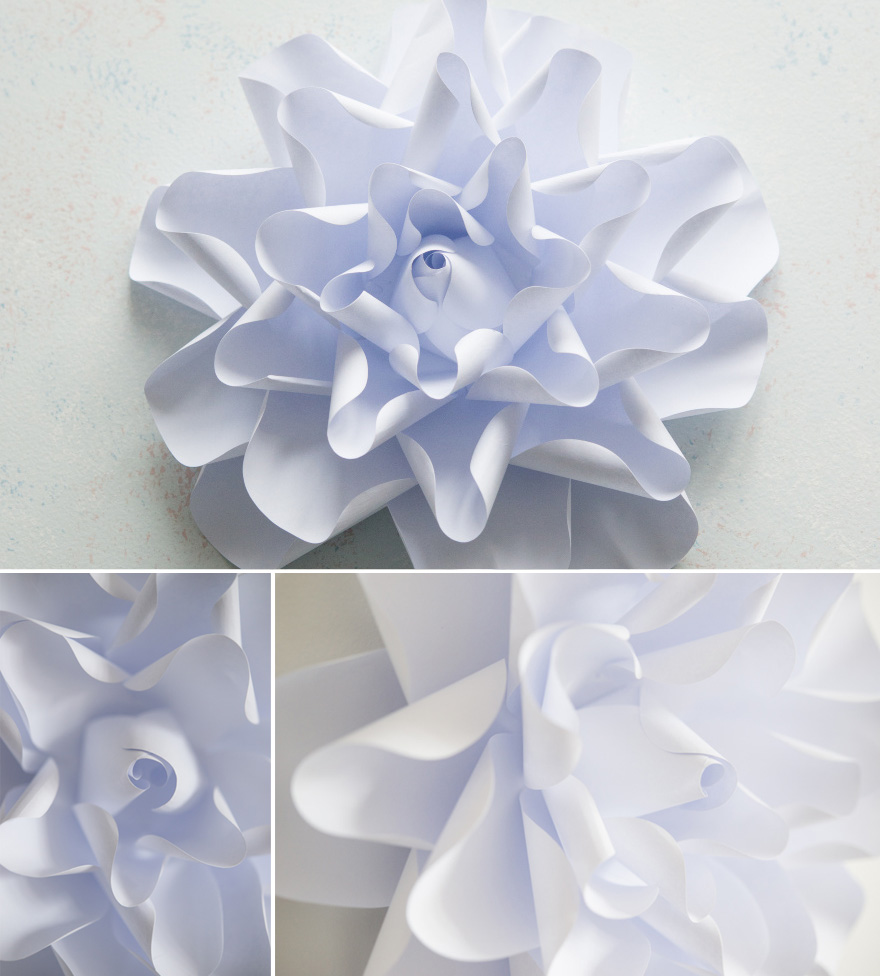 Paper Flower Dahlia | Confetti.co.uk