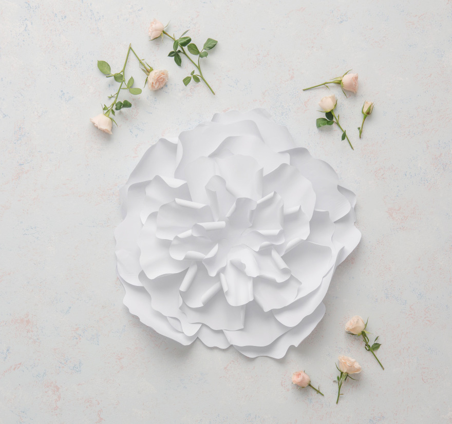 Paper Peony | Confetti.co.uk