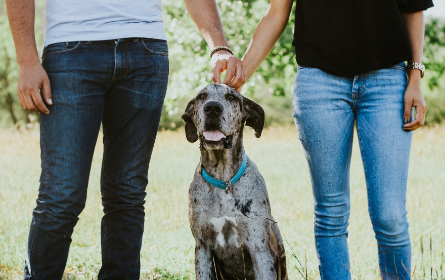 couple with dog