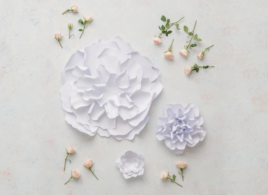 Paper Flowers | Confetti.co.uk