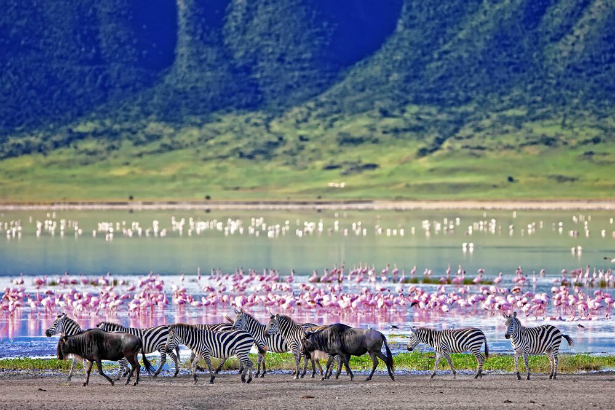 Ngorongoro Crater Lodge | Confetti.co.uk