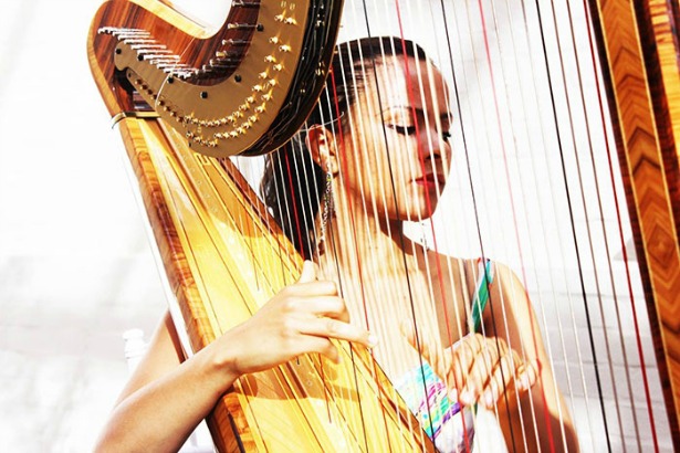 Harp wedding music by Bands for Hire | Confetti.co.uk