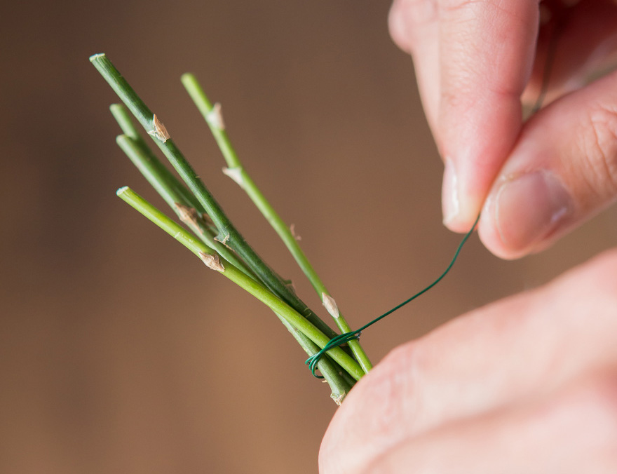 DIY Plants Tie Stems With Wire | Confetti.co.uk