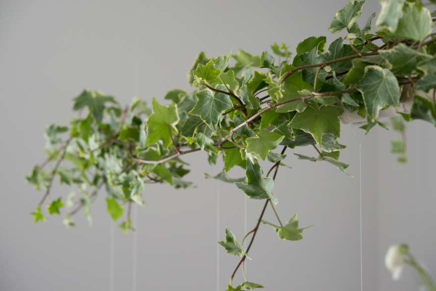 Green Ivy Wedding Decorations | Confetti.co.uk