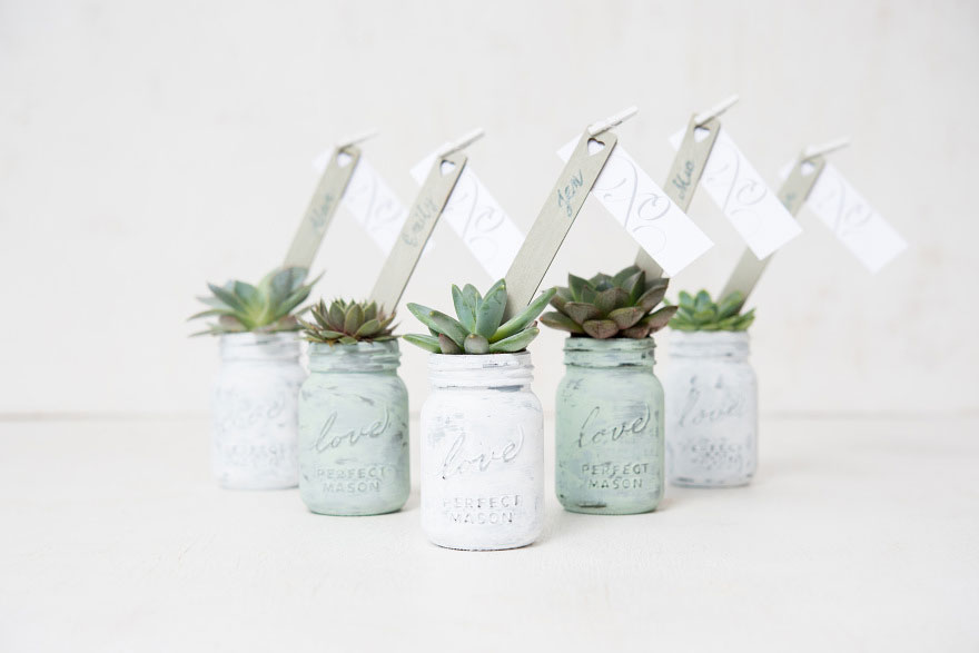 Succulent Favours | Confetti.co.uk