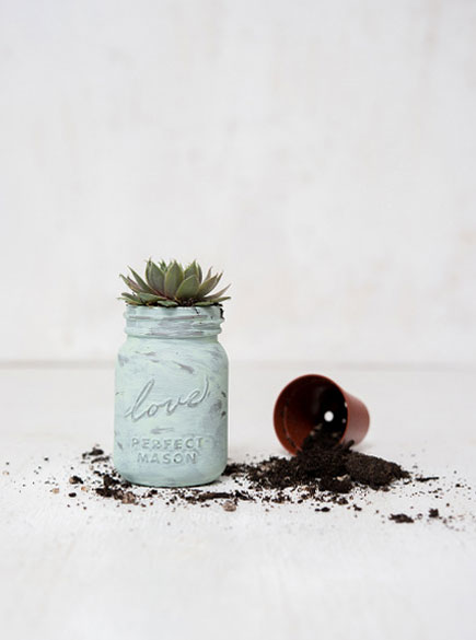 Succulent Wedding Favours | Confetti.co.uk