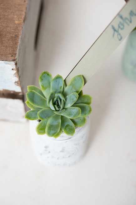 White and Green Wedding Succulents | Confetti.co.uk