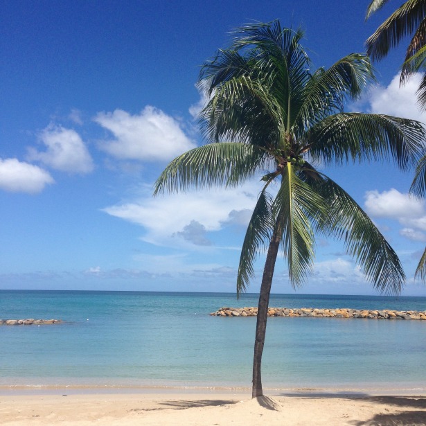 Tropical Sky wedding abroad and honeymoon in St Lucia Caribbean | Confetti.co.uk