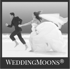 Sandals weddingmoons black and white