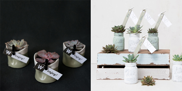 DIY Potted Plants | Confetti.co.uk