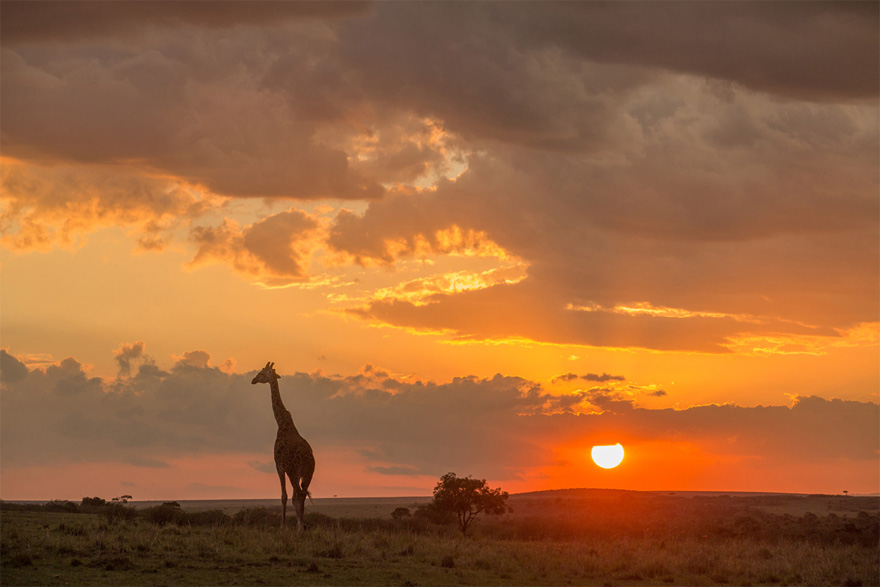 Nina and Sebastian’s Real Wedding in Masai Mara by Jonas Peterson | Confetti.co.uk