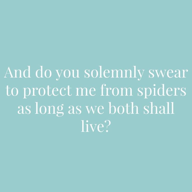 And do you solemnly swear to protect me from spiders as long as we both shall live | Confetti.co.uk