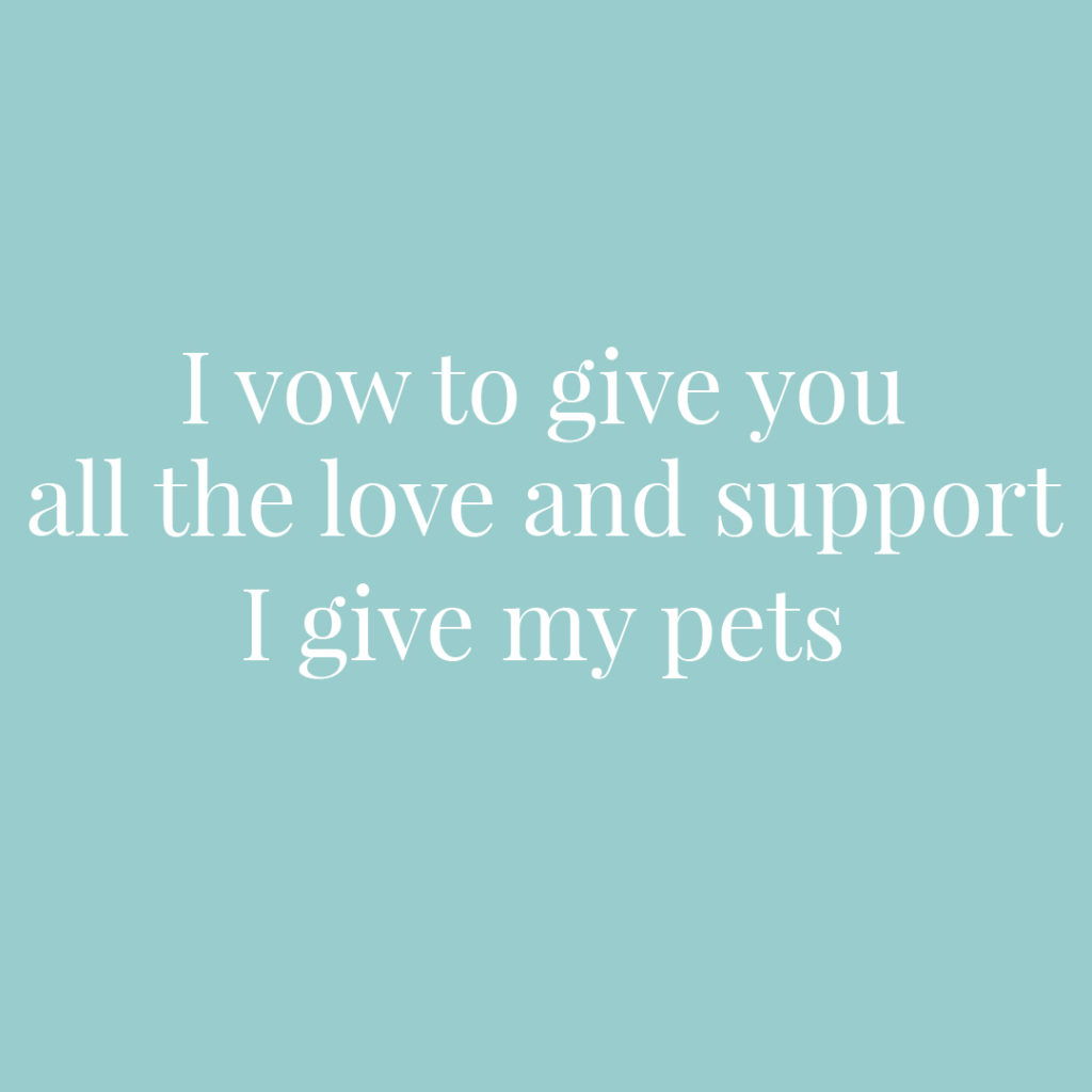 I vow to give you all the love and support that I give my pets | Confetti.co.uk