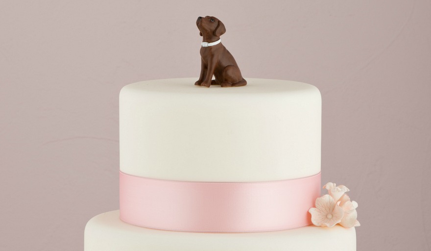 Dog cake topper | Confetti.co.uk