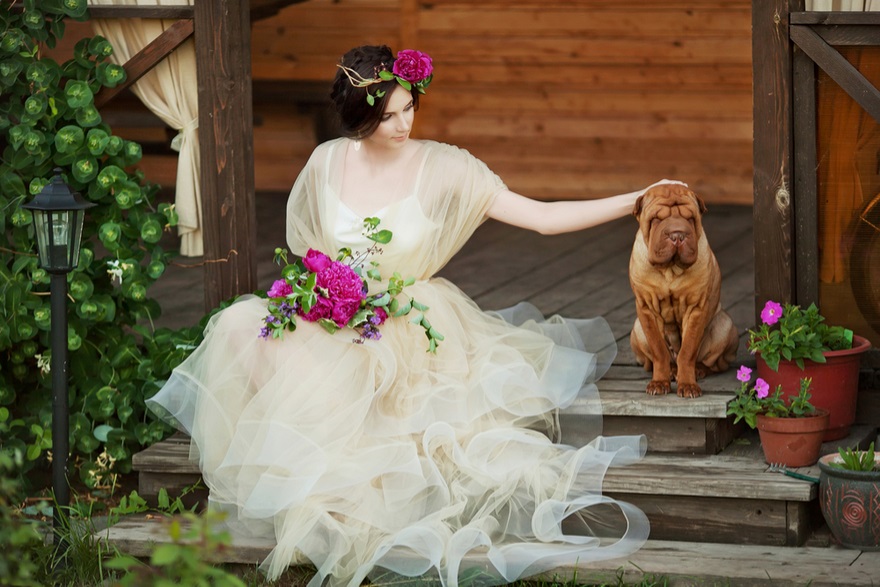 How to Include Your Dog in Your Wedding Day | Confetti.co.uk