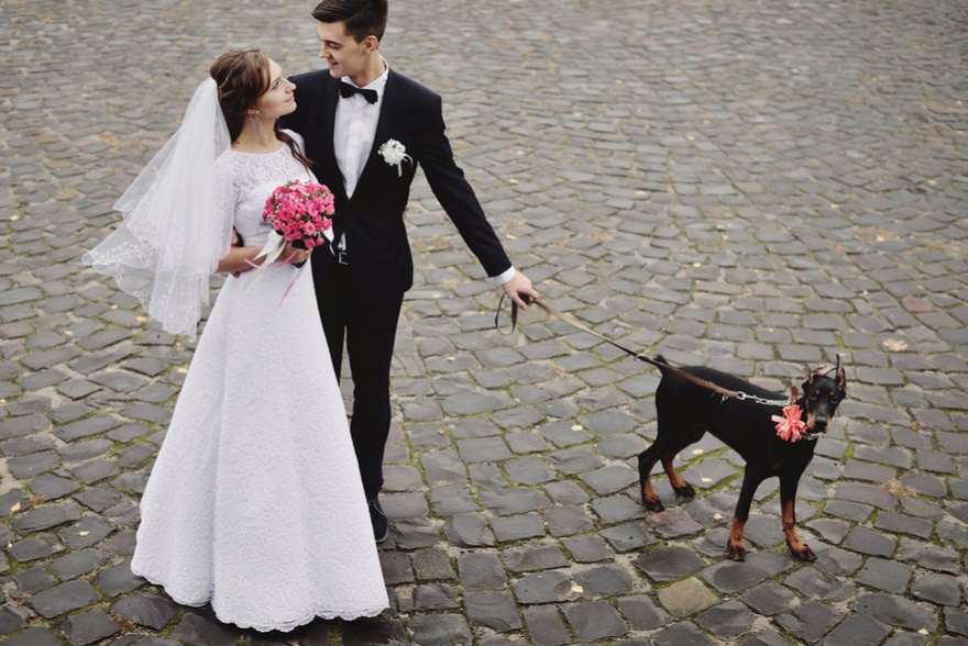 How to Include Your Dog in Your Wedding Day | Confetti.co.uk