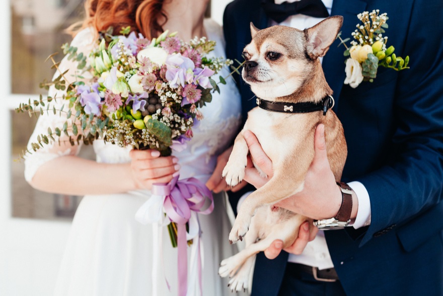 How to Include Your Dog in Your Wedding Day | Confetti.co.uk